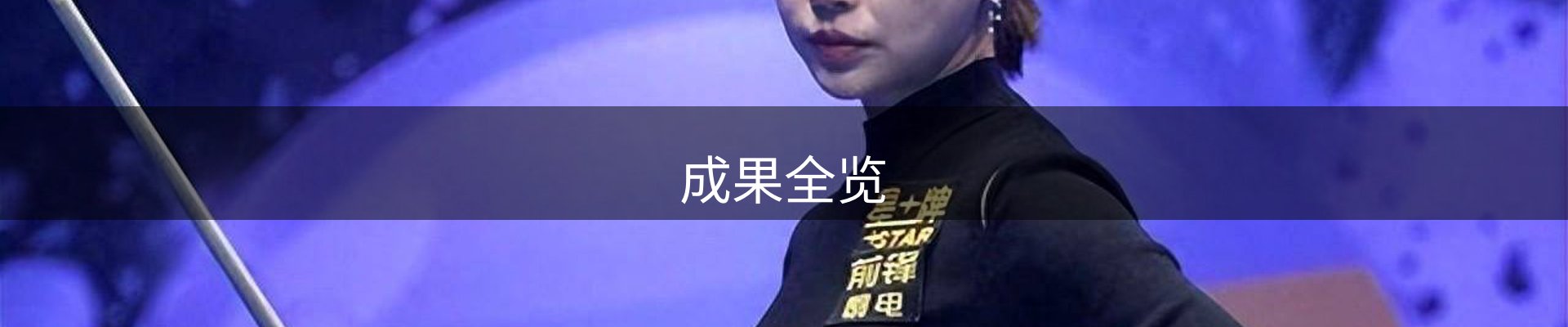 成果全览